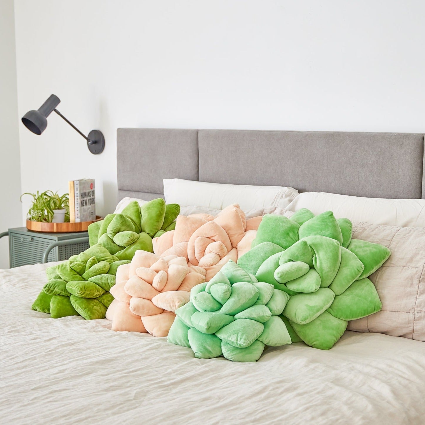 Lil' Pop Succulent - Plush Pillow - Blush Peach - Green Philosophy Co.